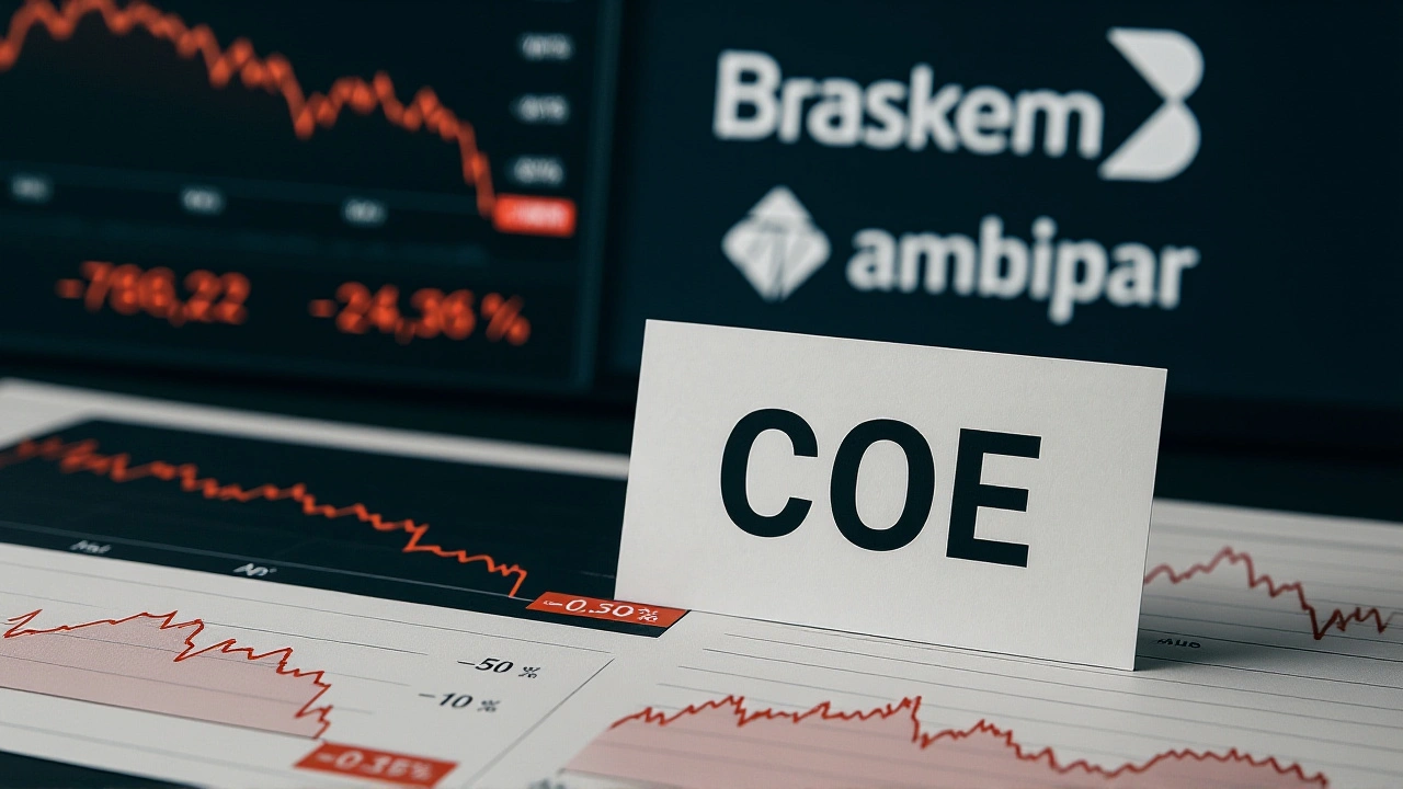 XP Investimentos aumenta participação na Petz para 10,85%